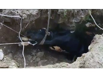 10 Metrelik Kuyudan İtfaiye Ekipleri Kurtardı