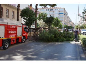 Aydın'da Facia Ucuz Atlatıldı